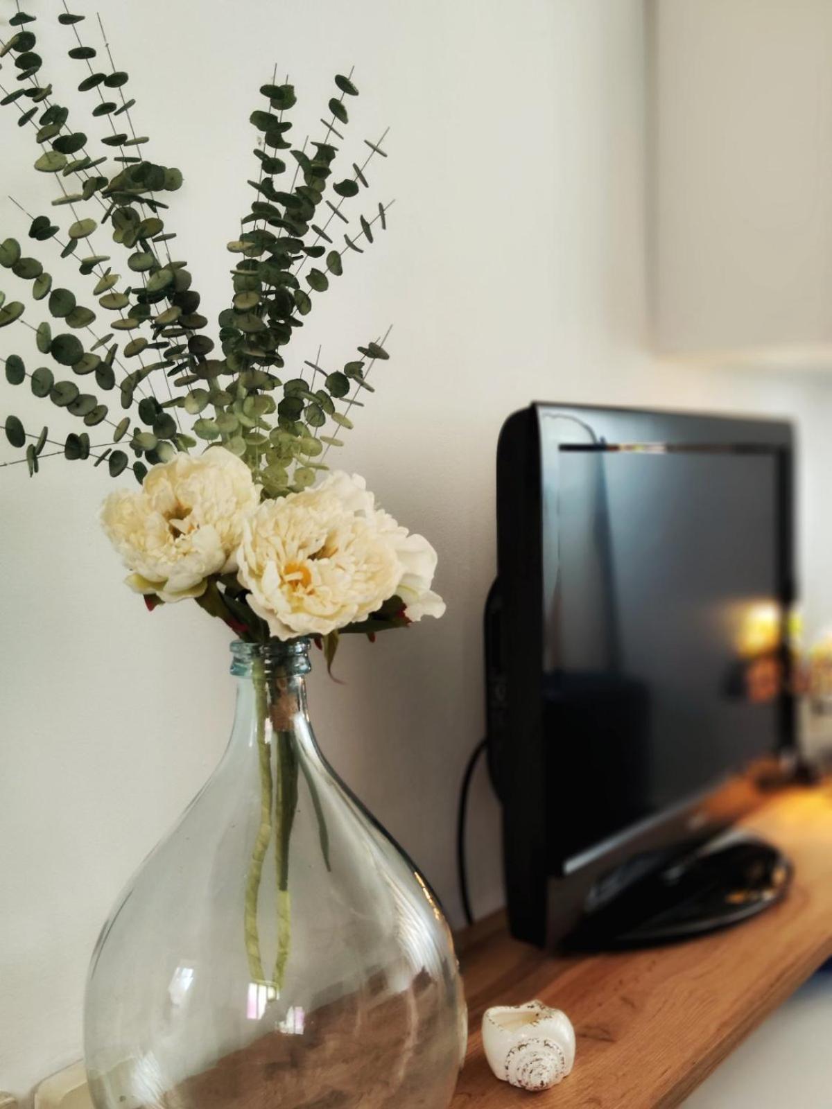 Apartment Mira Врсар Екстер'єр фото