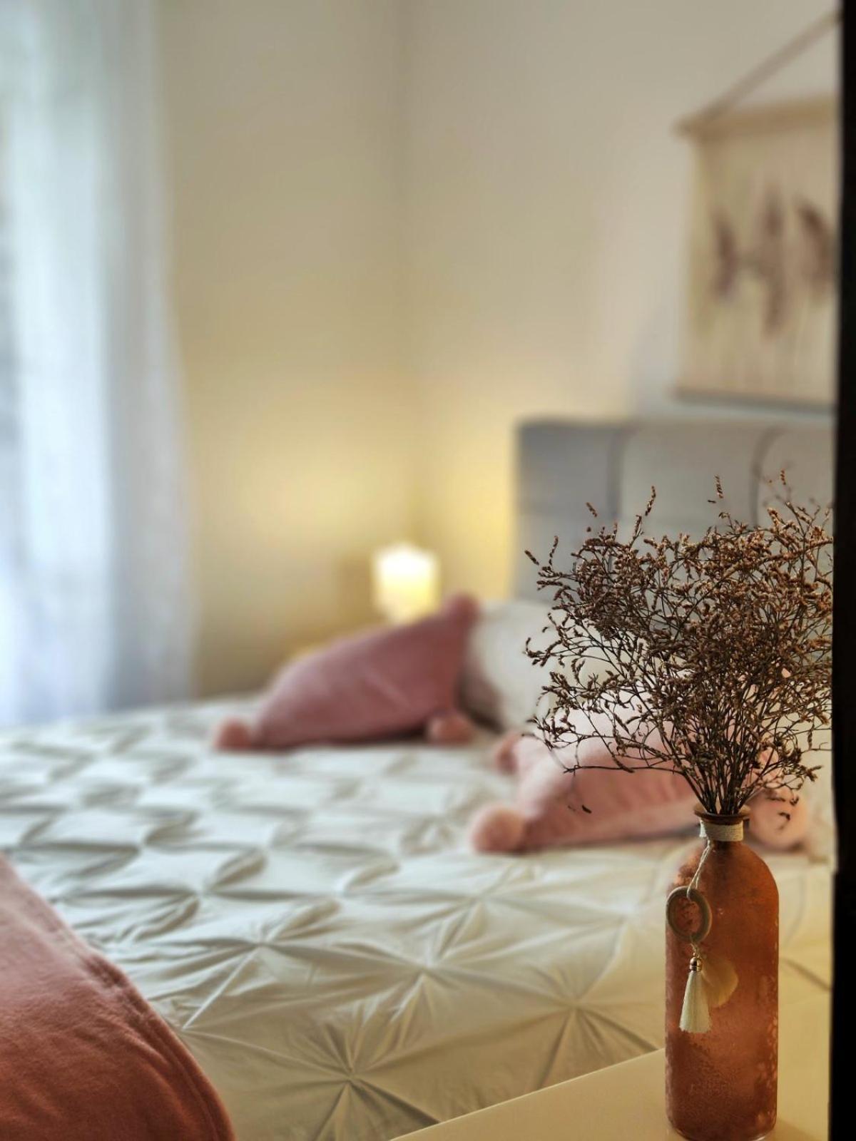 Apartment Mira Врсар Екстер'єр фото