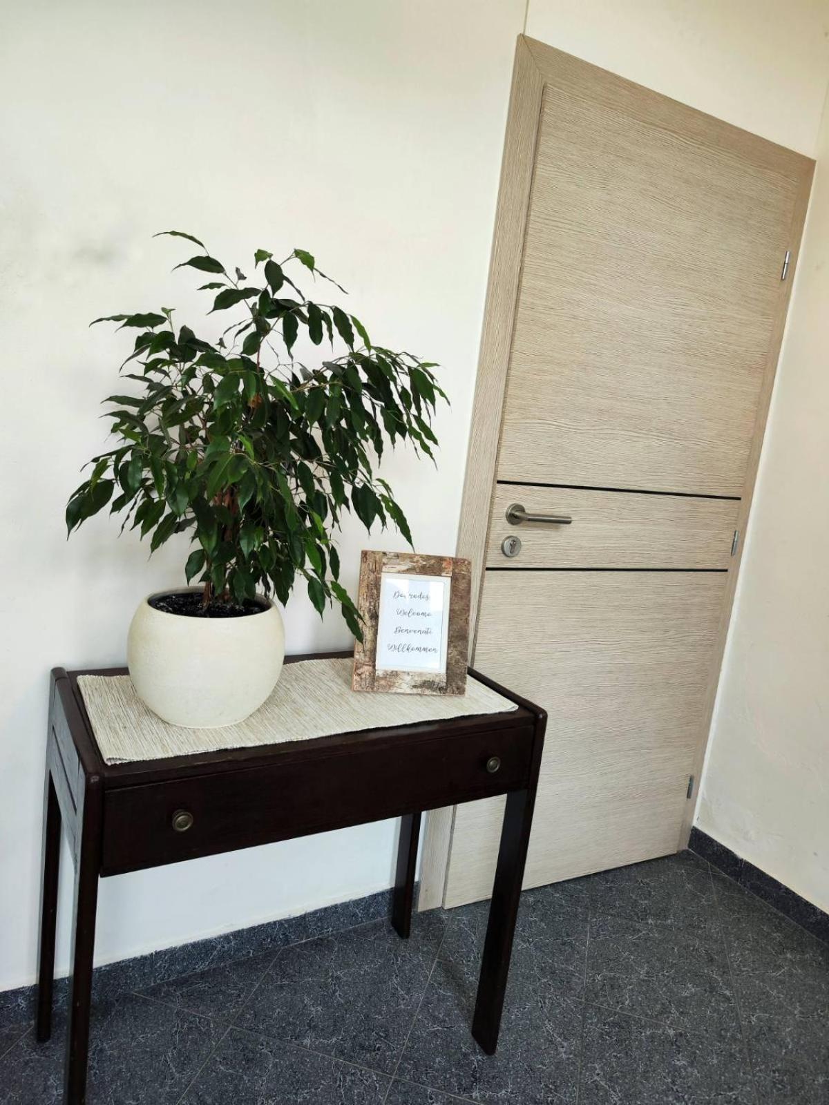 Apartment Mira Врсар Екстер'єр фото